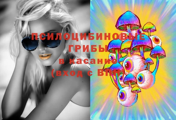 спиды Липки