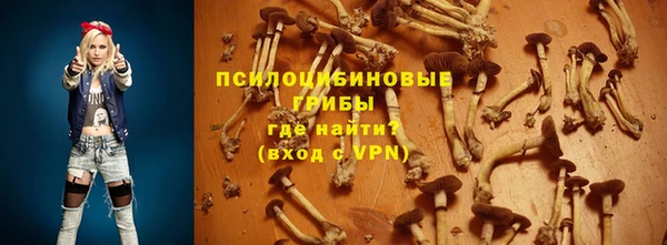 jwh Лиски